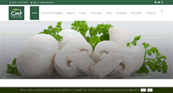 Desktop Screenshot of mushrooms.ie